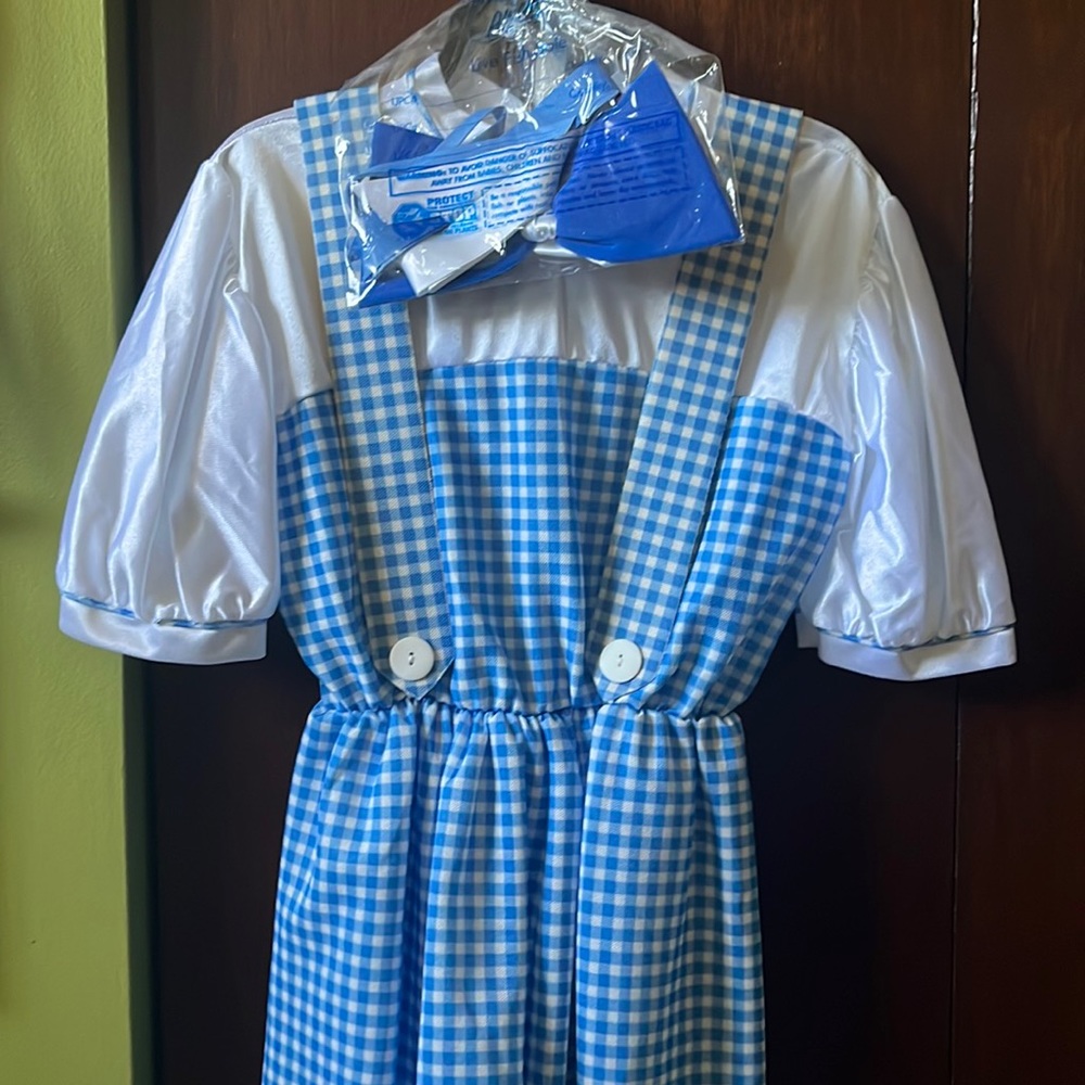 Rubie’s Dorothy Wizard of Oz Kid Costume Y2K Halloween
